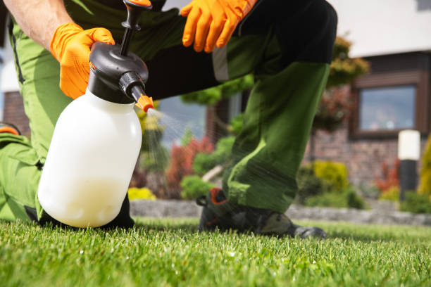 Bird Control in Lock Haven, PA