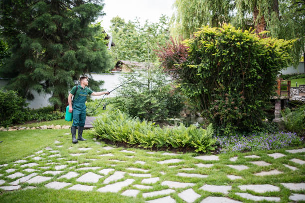 Trusted Lock Haven, PA Pest Control Experts
