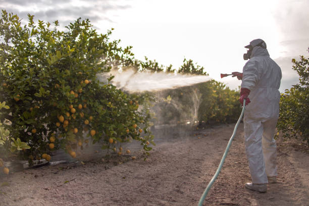 Best Pest Control for Homes  in Lock Haven, PA