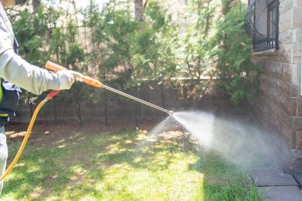 Best Local Pest Control Services  in Lock Haven, PA